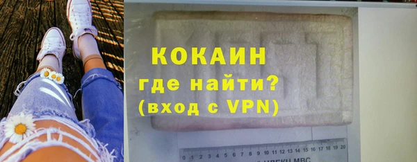 дмт Горняк