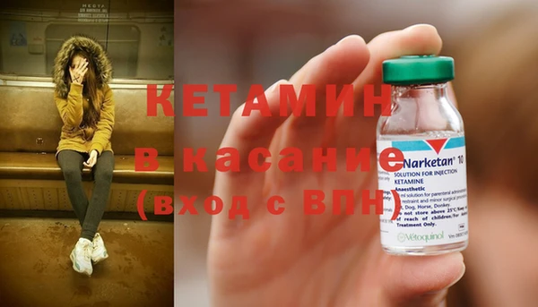 шишки Горно-Алтайск