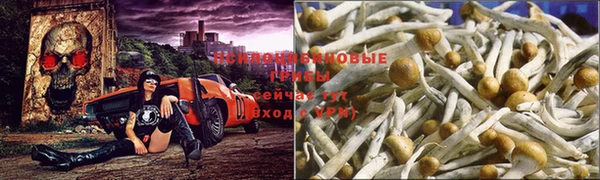 марки nbome Белоозёрский