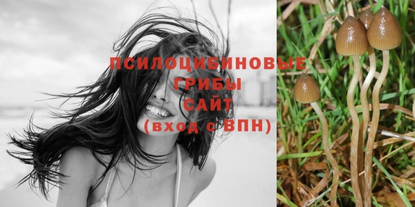 прущий лед Белокуриха