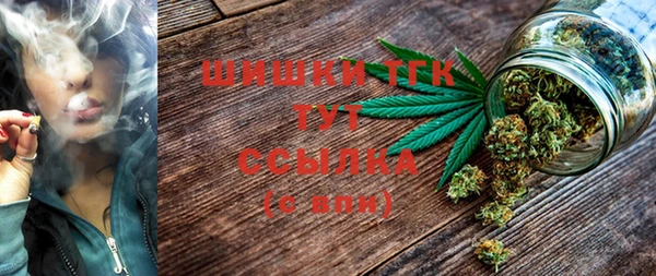 экстази Богородицк