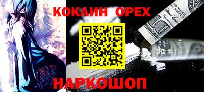 индика Можга