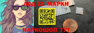 индика Можга