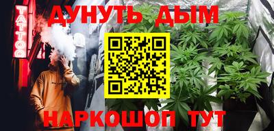 индика Можга