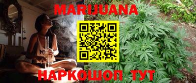 индика Можга