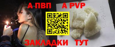 индика Можга