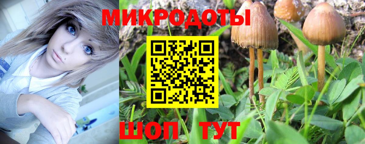 Псилоцибиновые грибы прущие грибы Сердобск